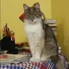 Отзыв от Жанна Бондарева